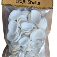 Craft Shells (100 grams)