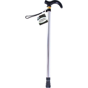 Extendable Walking Stick